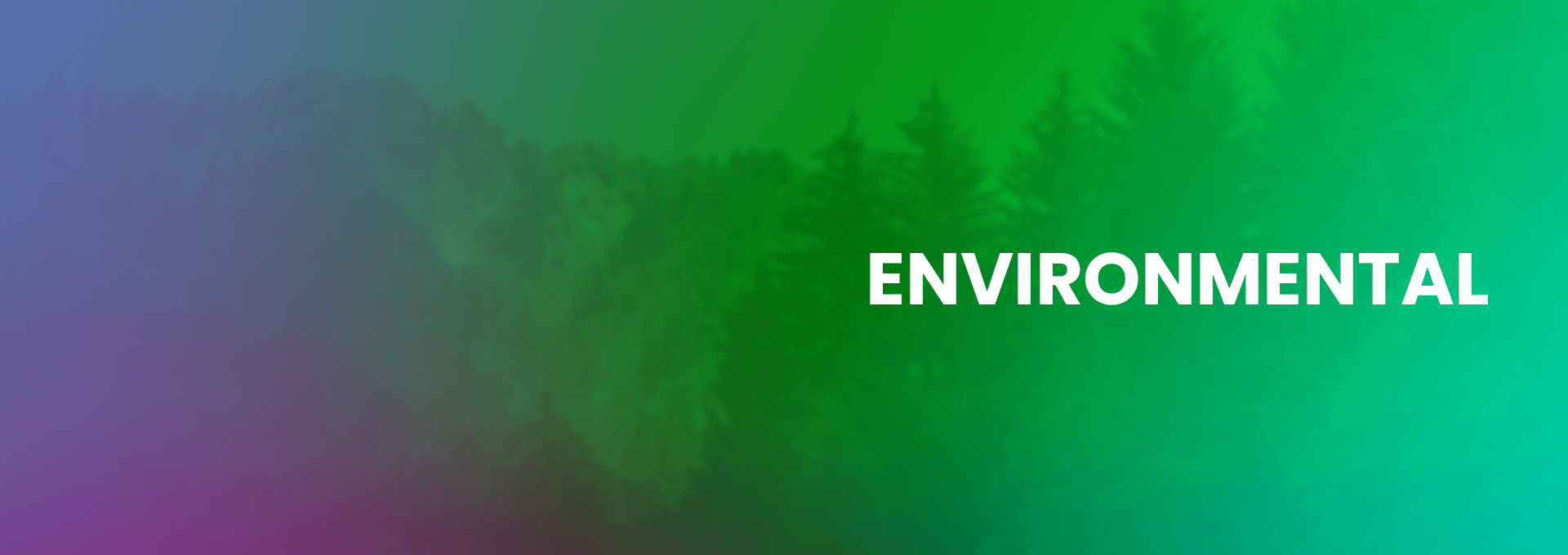 The Sustainability and Purpose Awards 2025
